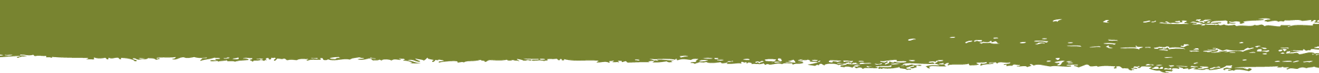 webDIV1