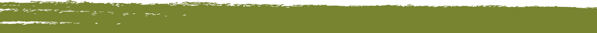 webDIV2